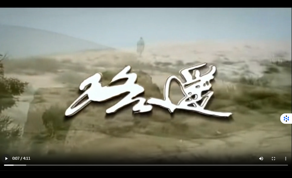 《路遥》—王红梅.mp4